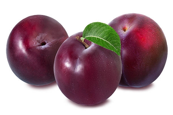 Plum