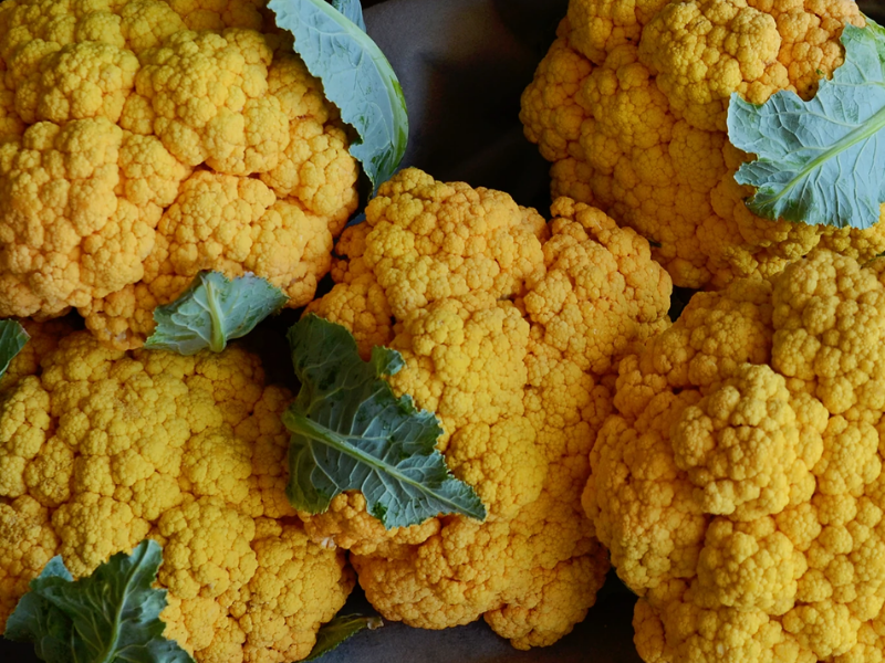 Flame Star Hybrid Cauliflower