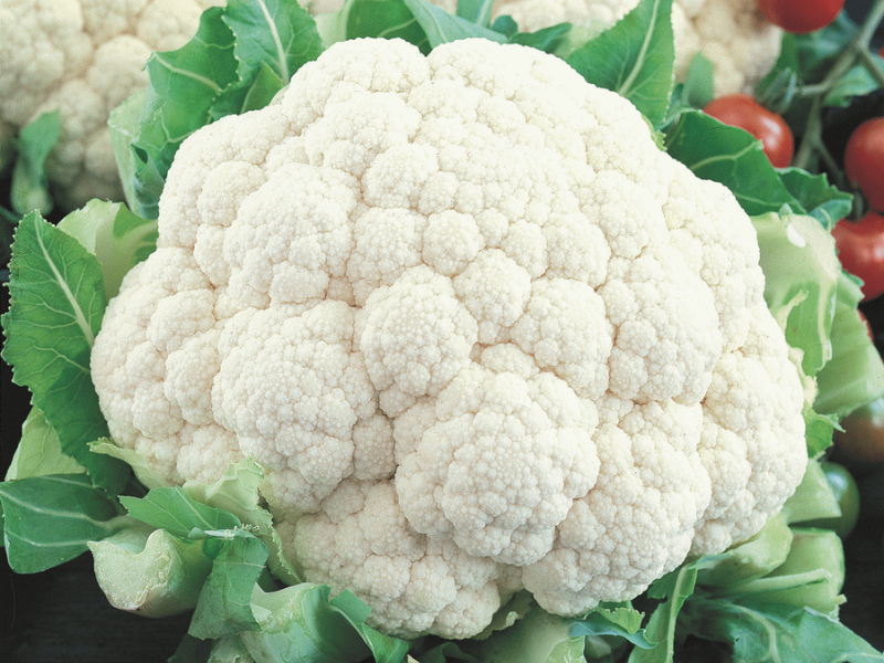 Self-Blanching Snowball Cauliflower