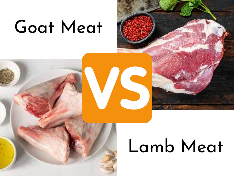 Goat vs Lamb Meat: What is the Difference?