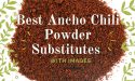 8 Best Ancho Chili Powder Substitutes With Images