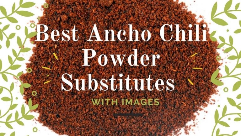 8 Best Ancho Chili Powder Substitutes With Images