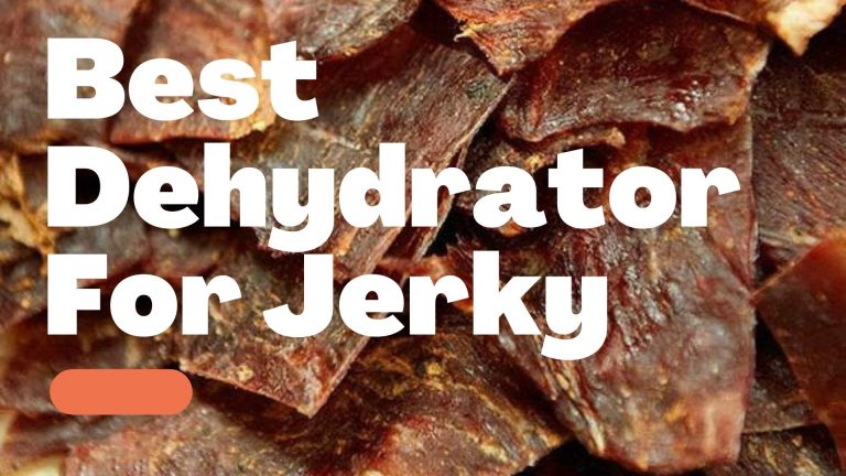 10 Best Dehydrator For Jerky in 2024