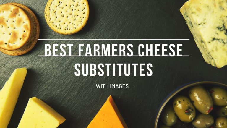 11 Best Farmers Cheese Substitutes With Images