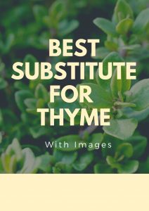 substitute for thyme