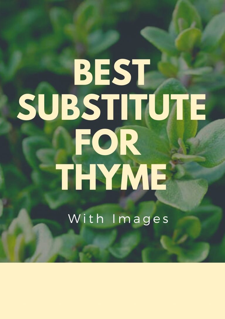 8 Best Substitute For Thyme With Images