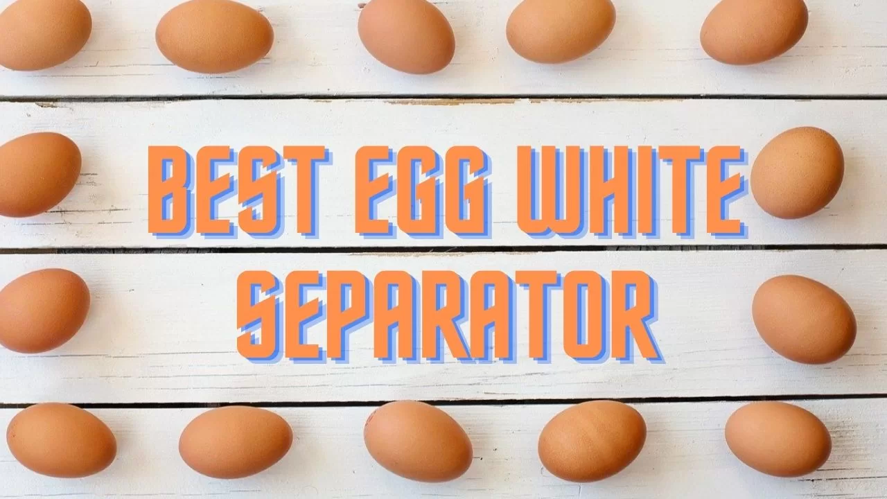 Egg White Separator