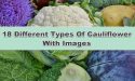 18 Different Types Of Cauliflower With Images