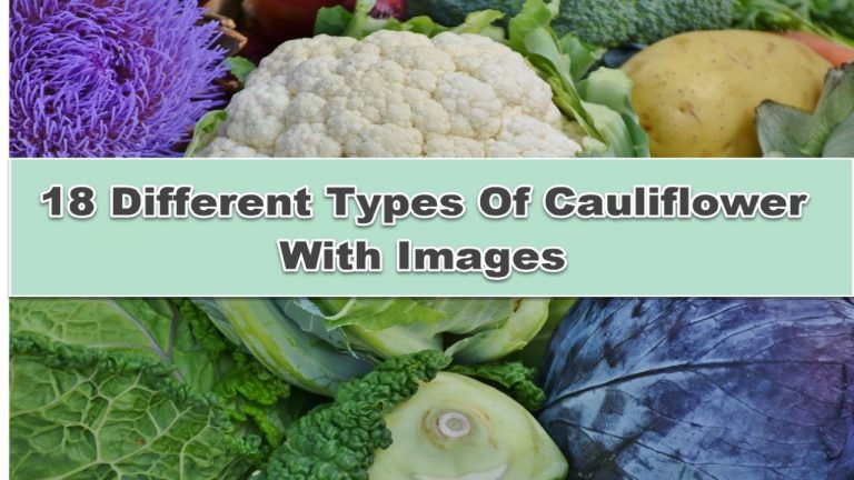 18 Different Types Of Cauliflower With Images