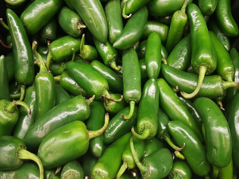 Jalapeño Peppers