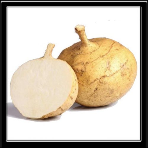 9 Best Daikon Radish Substitutes With Images