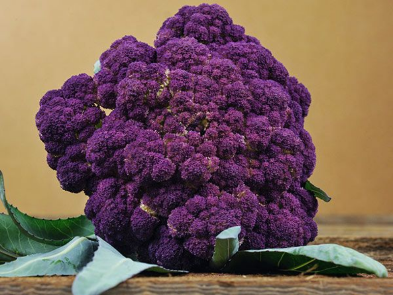 Sicilian Violet Cauliflower