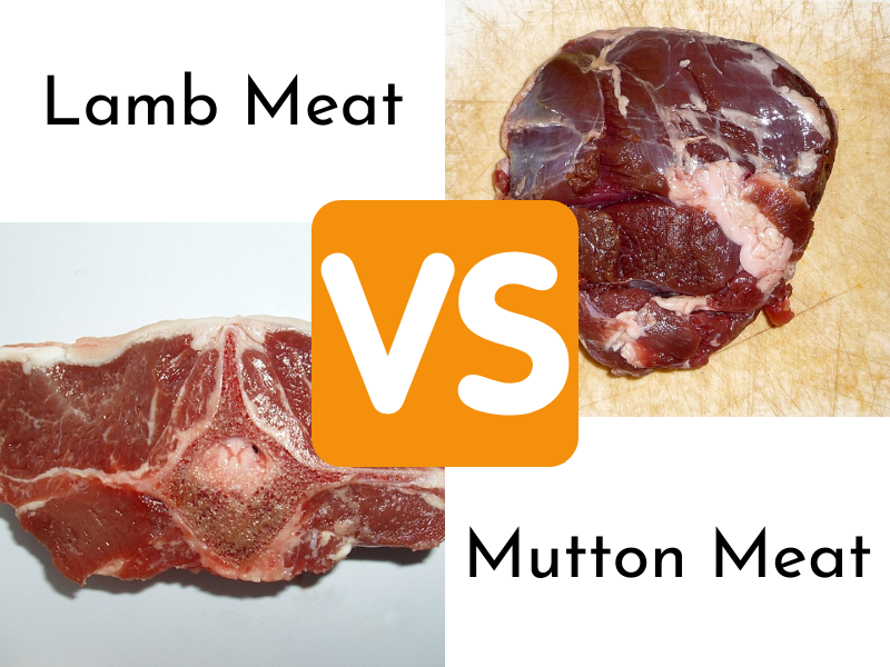 Lamb Meat vs Mutton Meat
