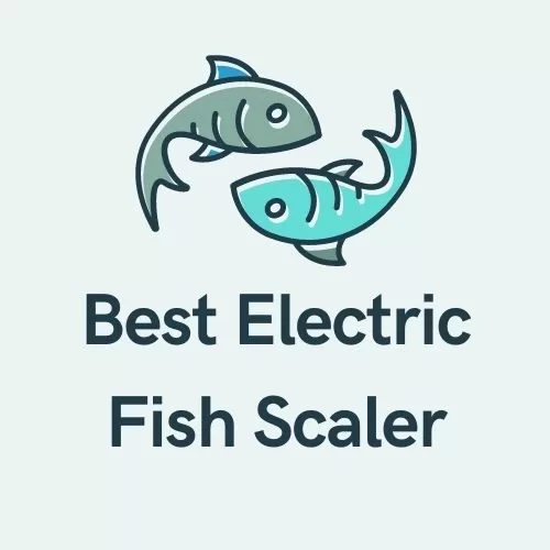 5 Best Electric Fish Scaler in 2024