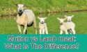 Mutton vs Lamb Meat: What is the Difference?
