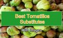8 Best Tomatillos Substitutes With Images