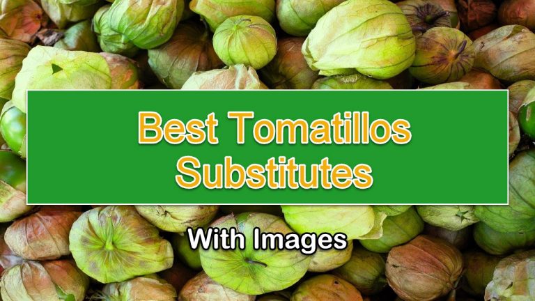 8 Best Tomatillos Substitutes With Images