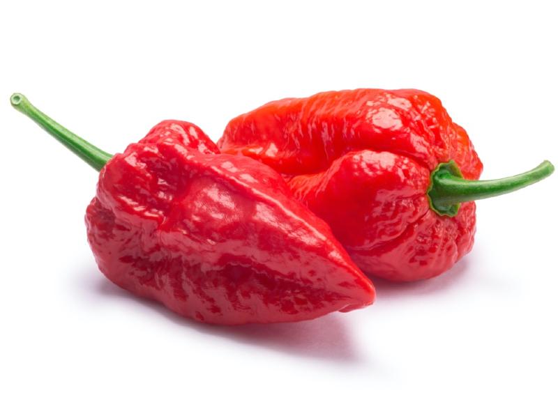 Ghost Pepper