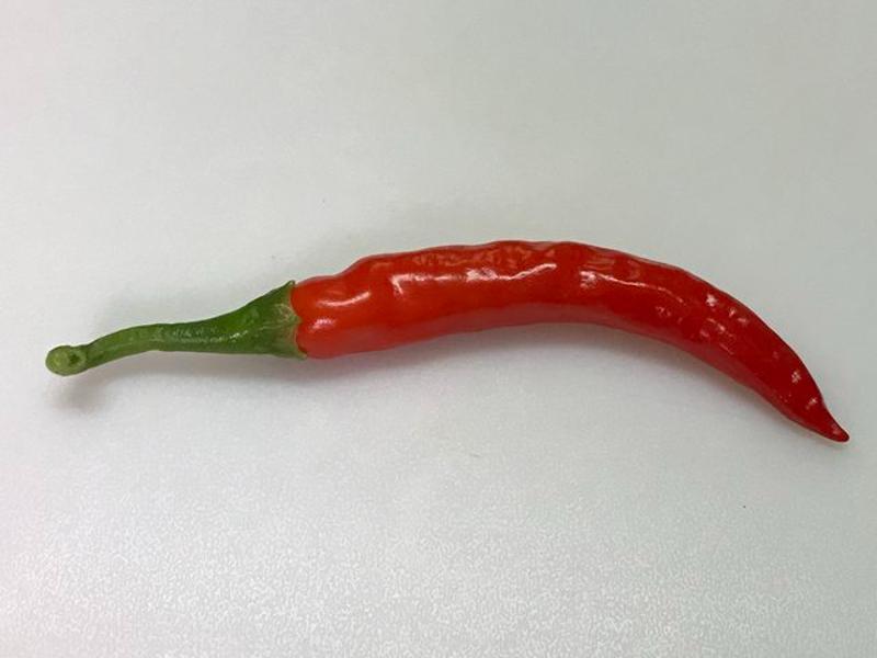 Tien Tsin Chili Pepper