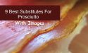 9 Best Substitutes For Prosciutto With Images
