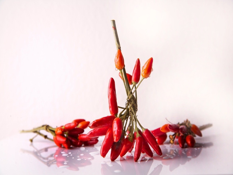 Red Chilies