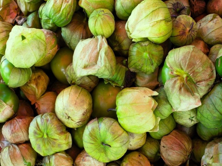 8 Best Tomatillos Substitutes With Images