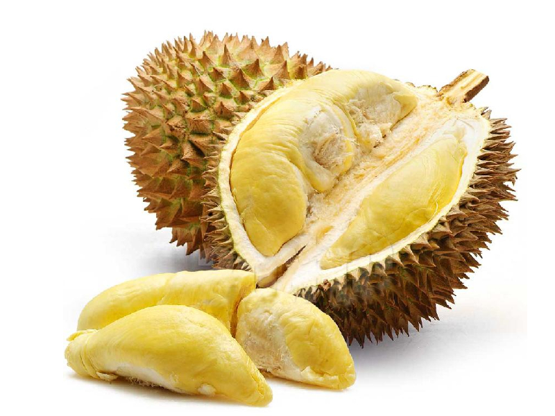 DURIAN