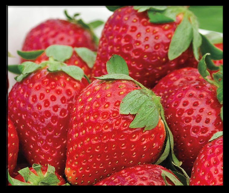 20 Different Types Of Strawberries With Images