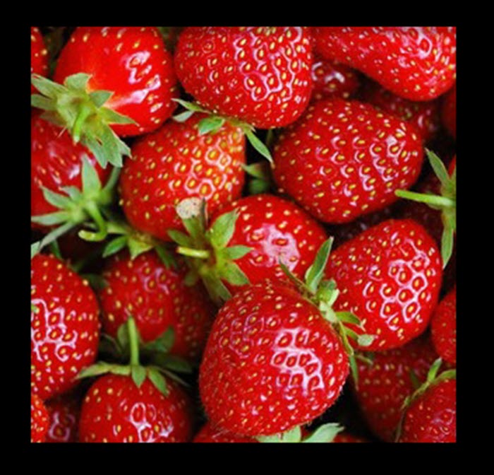 20 Different Types Of Strawberries With Images