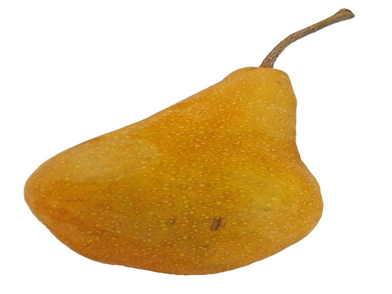 Bosc Pears