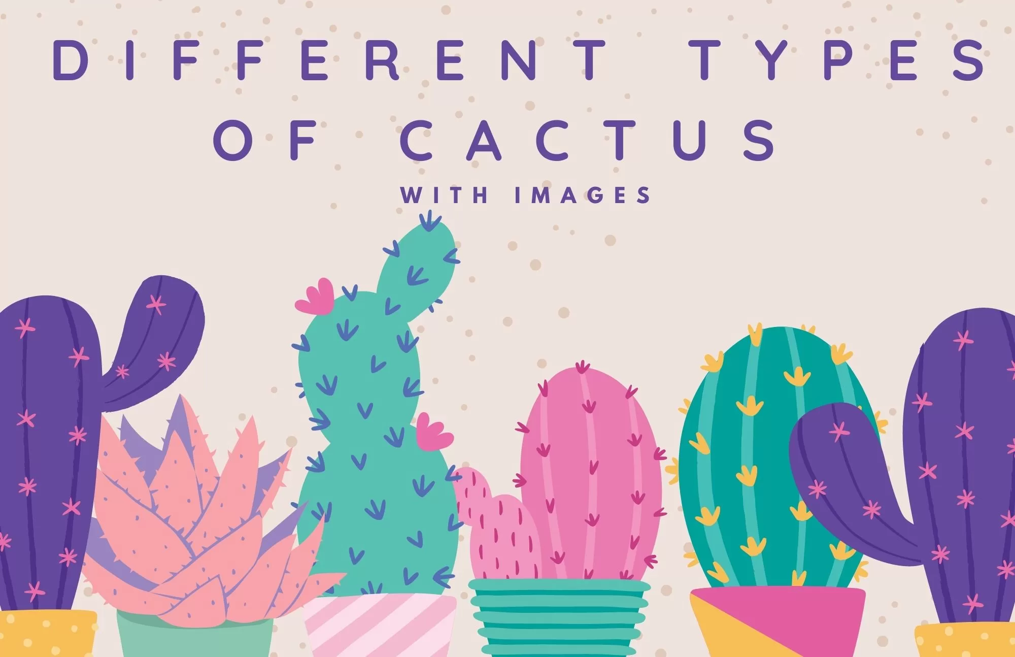 Types Of Cactus