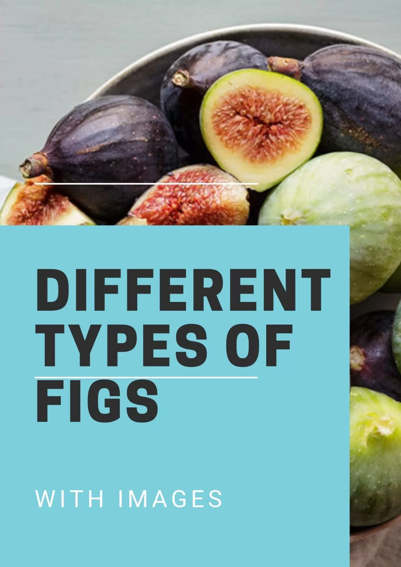 Types Of Figs