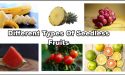 6 Different Types Of Seedless Fruits With Images