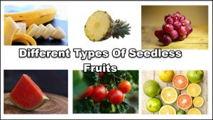 types of seedless fruits