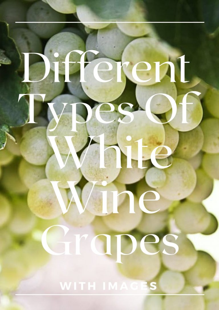 18 Different Types Of White Wine Grapes With Images