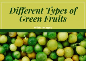 Types of Green Fruits