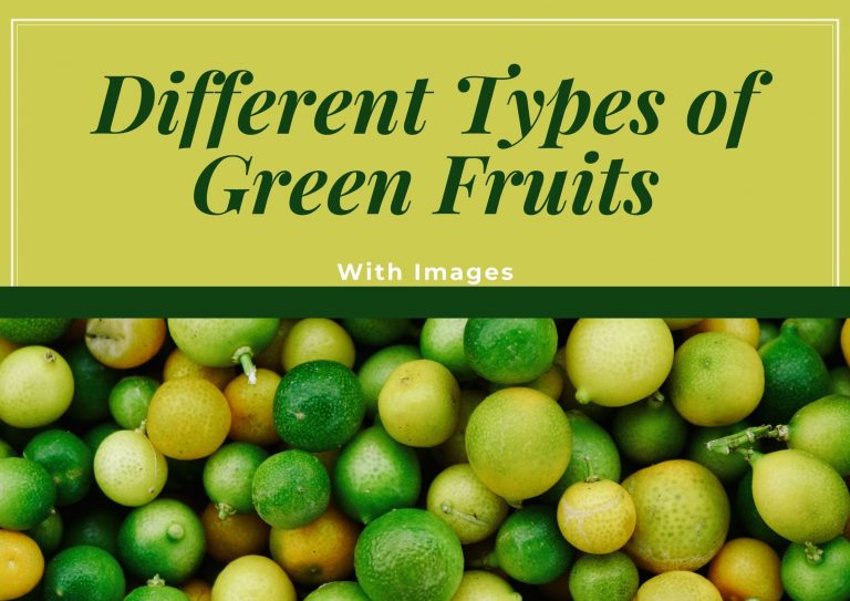 10 Different Types of Green Fruits With Images
