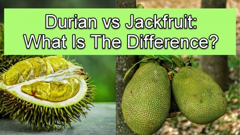 Durian vs Jackfruit: What Is The Difference?