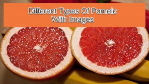 Types Of Pomelo