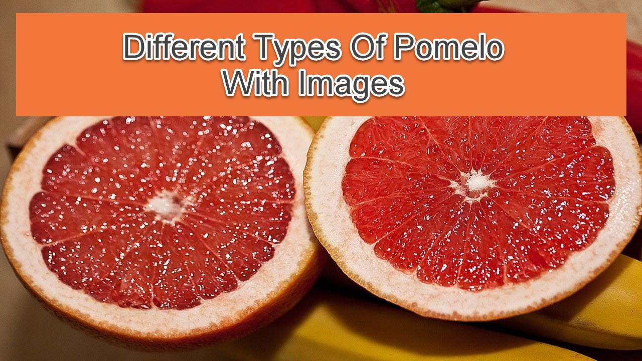 11 Different Types Of Pomelo With Images Asian Recipe