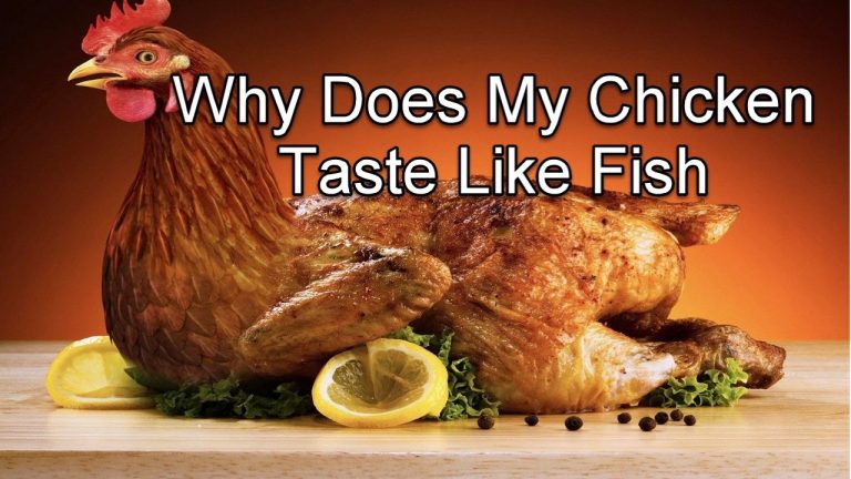 Why Does My Chicken Taste Like Fish