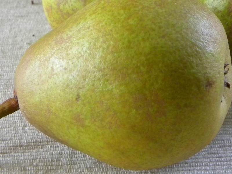 French Butter Pears