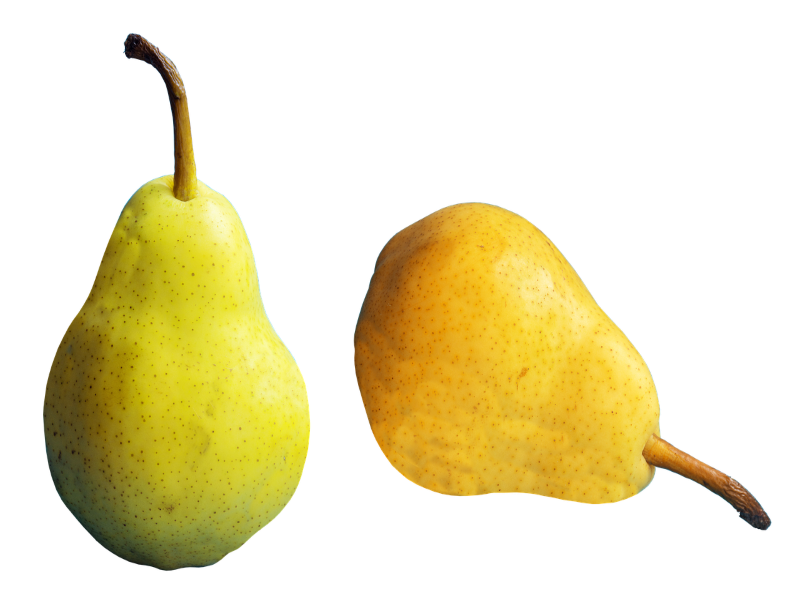 Yellow Pears