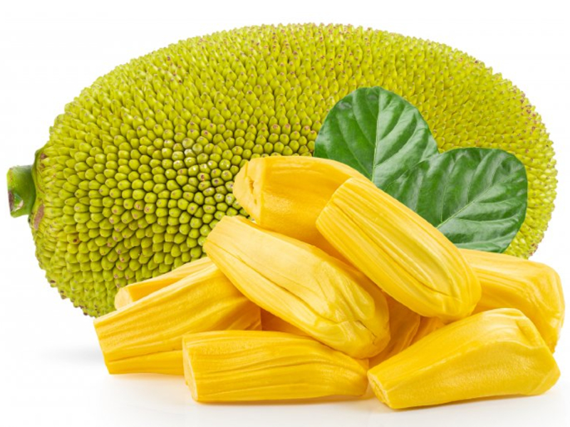 JACKFRUIT