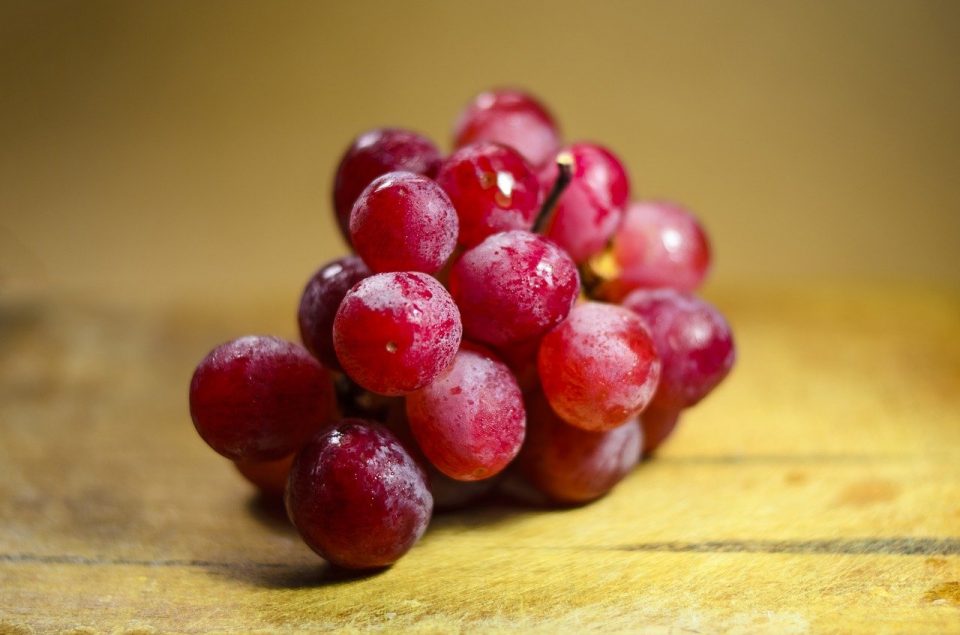 types of seedless fruits