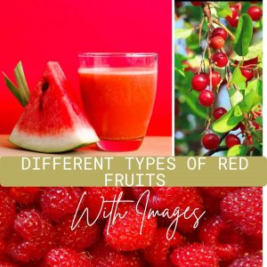 types of red fruits