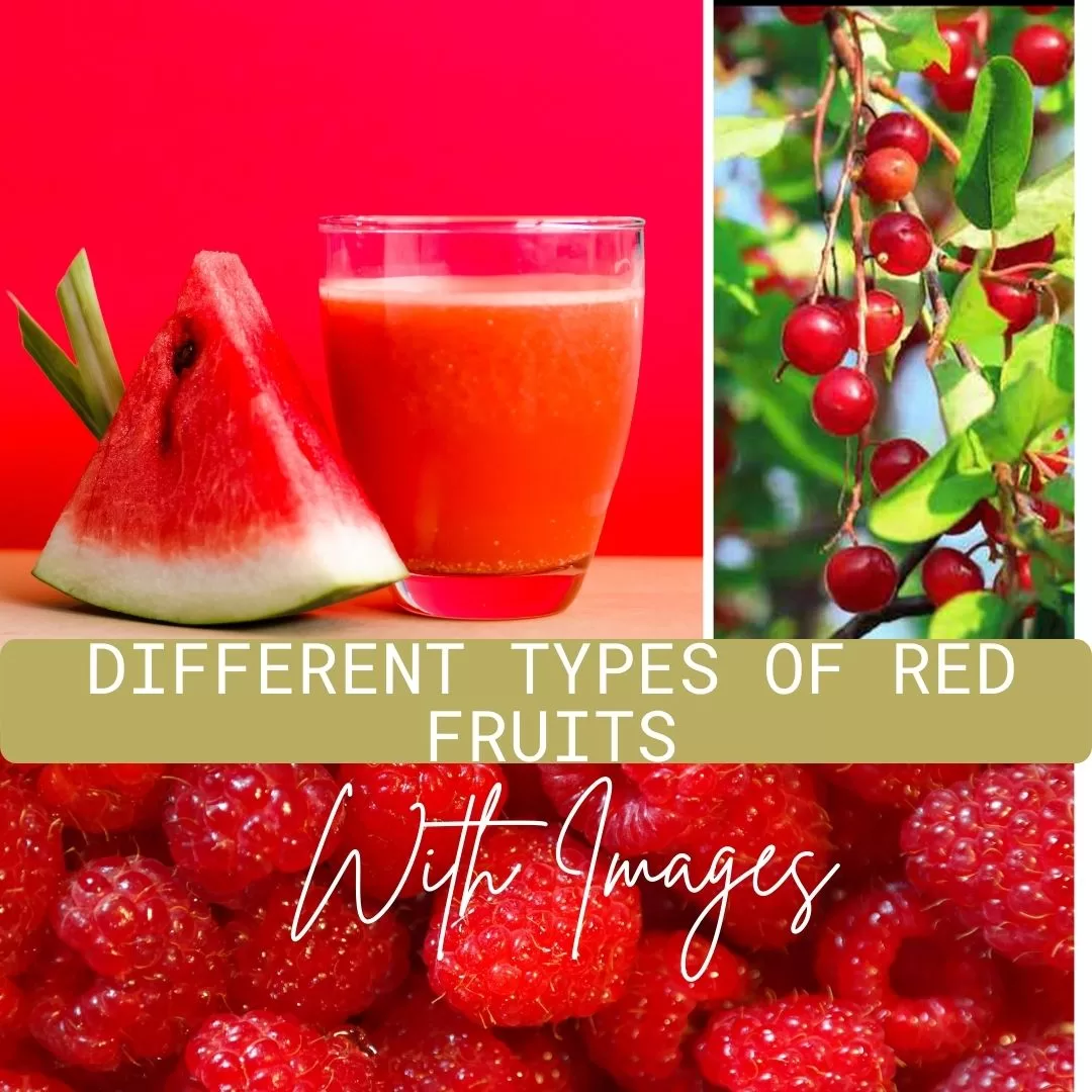 types of red fruits