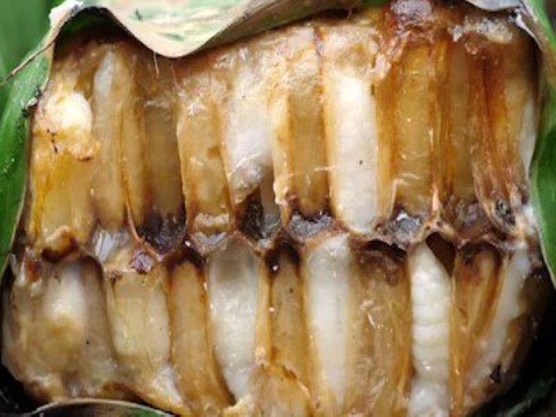 Hang Peung or Grilled Honeycomb With Bee Larvae