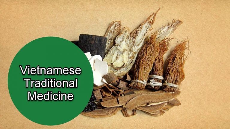 Vietnamese Traditional Medicine