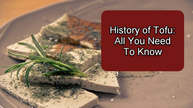 History of Tofu: All You Need To Know
